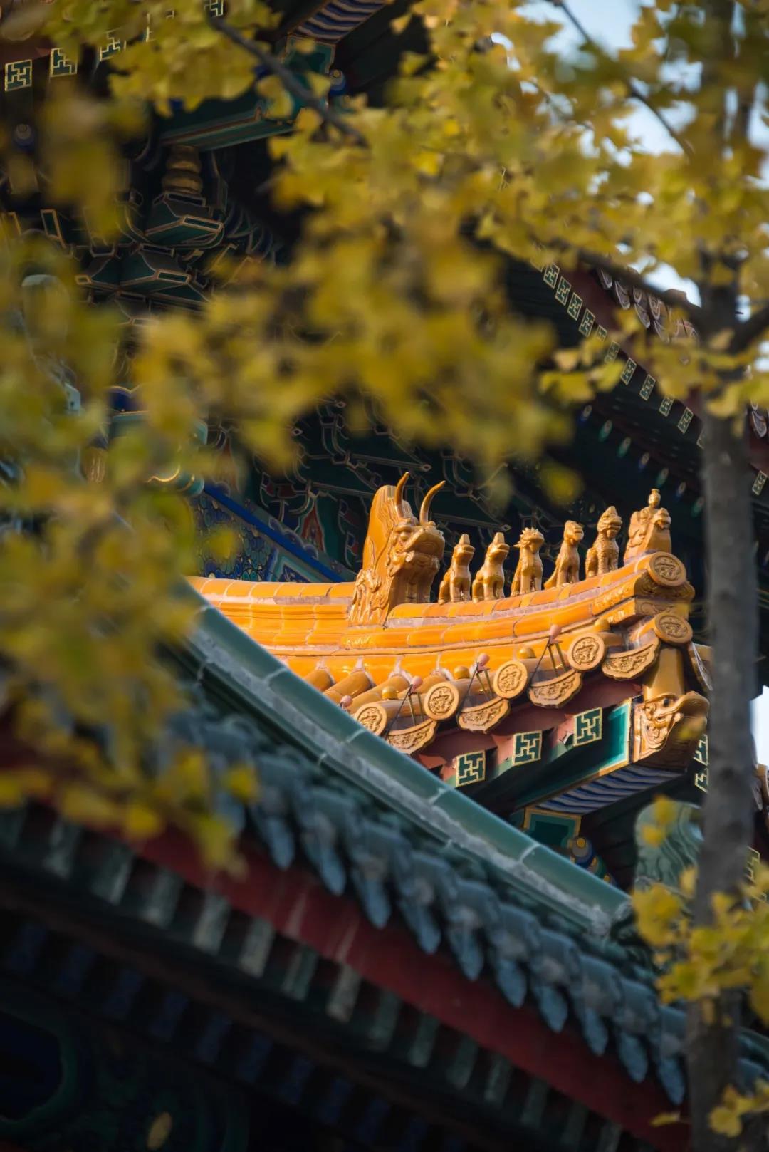 微信图片_20201202094119.jpg?x-oss-process=style/watermark_jimo