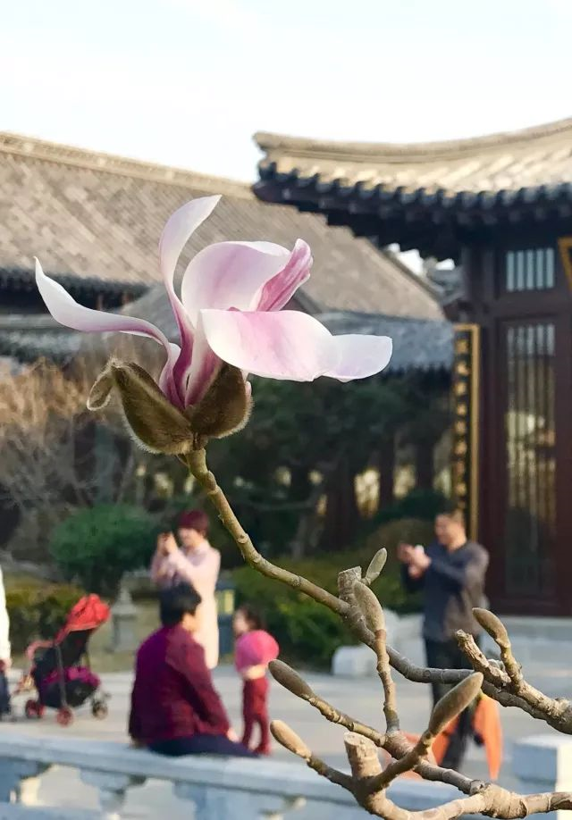 图片.png