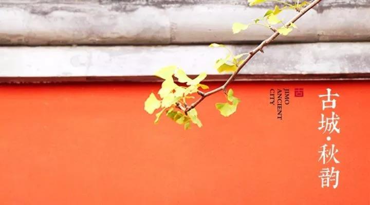 2.jpg?x-oss-process=style/watermark_jimo