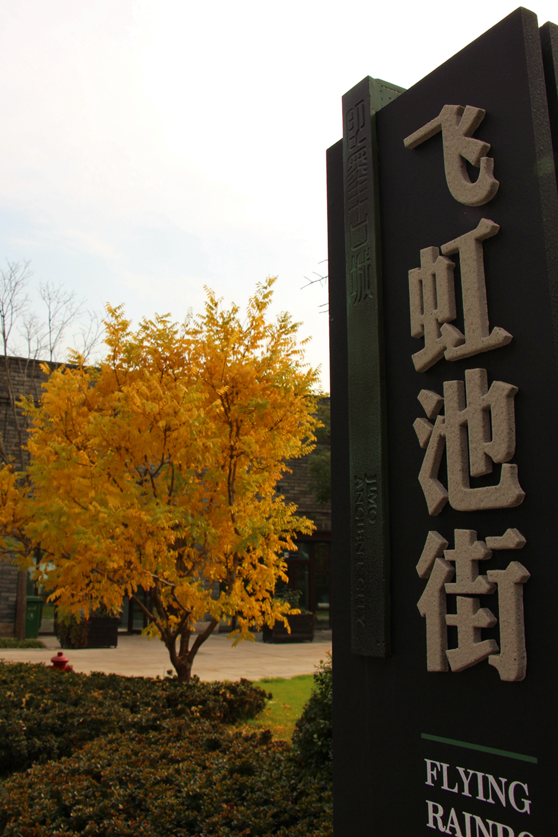 IMG_9406_副本.jpg?x-oss-process=style/watermark_jimo